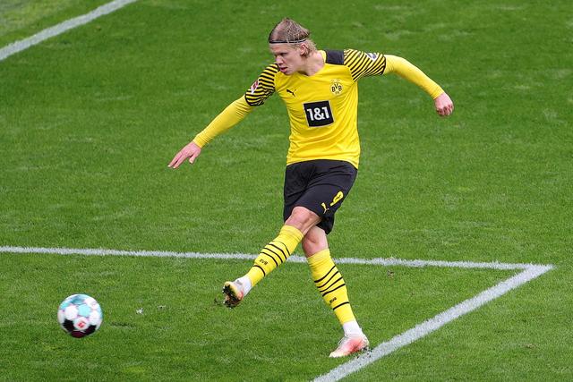 利亚不会是 利亚不会是